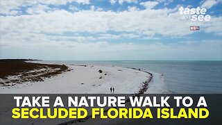 Nature walk from Clearwater Beach to Caladesi Island | Taste and See Tampa Bay