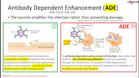 Antibody Dependent Enhancement + GATES, FAUCI CHARGED WITH GENOCIDE