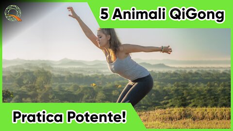 5 Animali del QiGong 🐻🐯🐵🐦🦌 Pratica Veloce e Potente!