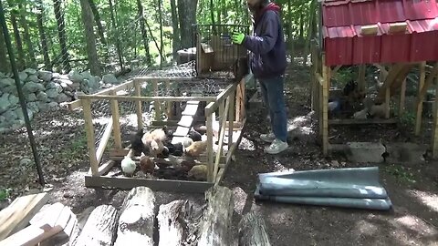 Chicken Expansion ~ Cutting Fire Wood ~ Garden Work