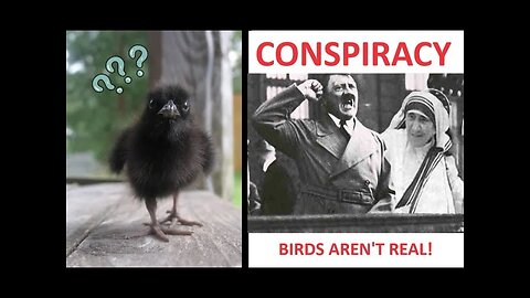 CONSPIRACY! - Birds Aren't Real & Mother Teresa was a Nazi