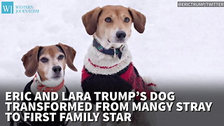 Eric And Lara Trump’s Dog Transformed From Mangy Stray To First Family Star