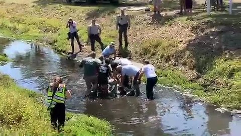 Manatee rescue stuck in Fort Myers drainage ditch