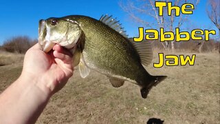 Using the Jabber Jaw for Clear Water Bass