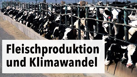 Beeinflussen Fleischproduktion und -konsum das Klima? | Interview mit einem Klimawissenschaftler