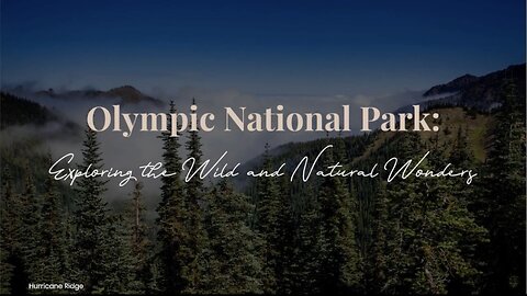 Olympic National Park: Exploring the Wild and Natural Wonders | Stufftodo.us