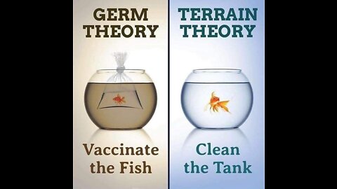 Germ Theory VS Terrain Reality