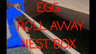 Chicken Egg roll away box