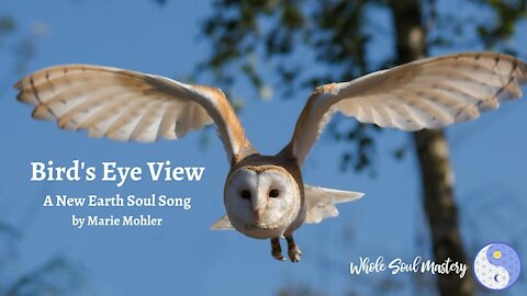 Bird's Eye View ~ A New Earth Soul Song