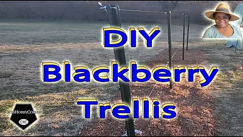 DIY #blackberry #trellis Project Took 3 Days