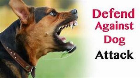 Do you know How To defend against a dog. Self defense against dog attack