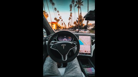 Tesla Autopilot For 24 Hours!