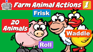Animal Actions Farm Animals