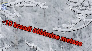 -10 kraadiga metsas ööbimine magamiskotiga [FullHD] @iffinland-info