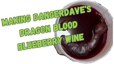 Making DangerDave’s Dragon Blood Blueberry Fruit Wine Day 1