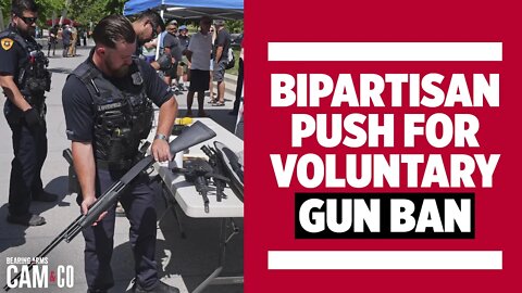 Bipartisan Push For Voluntary Gun Ban