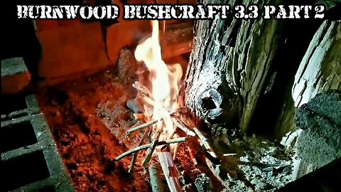 BURNWOOD BUSHCRAFT 3.3 - (Part 2) Overnighter, Big Wood