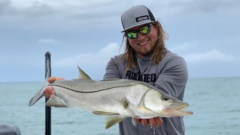 TROPHY SNOOK While Inshore Fishing FLORIDA!