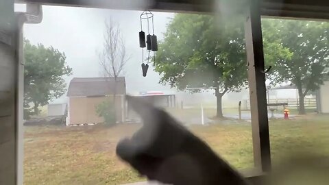 Texas Summer Rain - Some Good Winds & A Little Hail- Happened A Few Days Ago Just Posting
