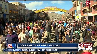 Goldens take over Golden