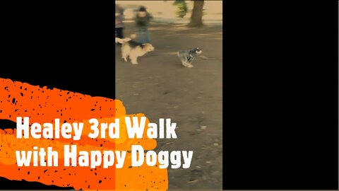 Healey 3rd Walk with Happy Doggy