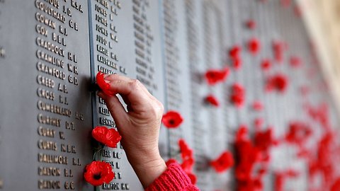 Poppies For Veterans: The International 'Flower Of Remembrance'