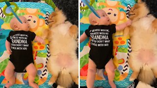 Pomeranian Puppy Loves To Hang Out With Baby Best Friend