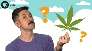 Should I Invest In Cannabis Stocks?