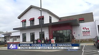 Idaho Humane Society seeking public input on animal-related city ordinances