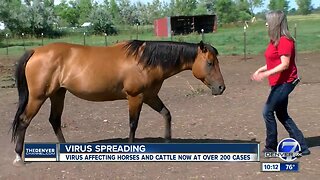 Virus not common to Colorado horses forces more than 200 properties under quarantine
