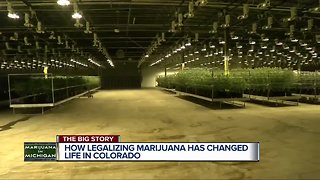 This is how legal marijuana changed Colorado and could change Michigan