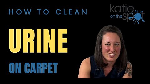 How to clean Urine on carpet