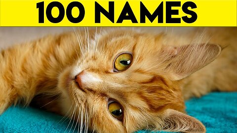 🐾🧡 Ginger Cat Names - 100+ Names For Your Orange Cat! Find the Perfect Fit! 🐱🧡