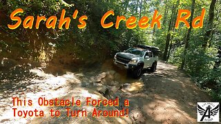 Surprised on Sarah's Creek Road | What was He Doing?! | Campsites & Water Crossings | Clayton, GA