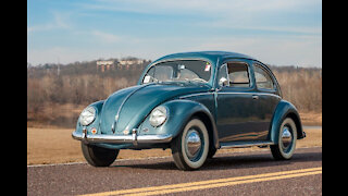 Classic Volkswagen Beetles