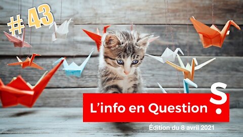 INFO en QUESTl0NS #43 - LIVE avec Stefan Penkov économiste (2h09mn07s)