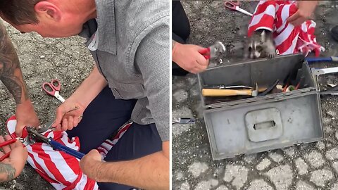 Police rescue raccoon with head stuck in jar