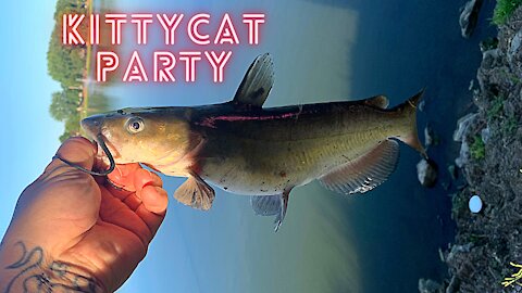Catfish at the City Lake #20