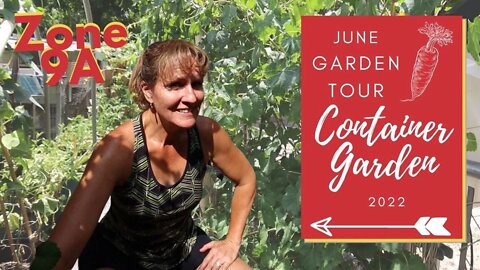 June Container Garden Tour | Garden Zone 9A | GreenStalk Gardening