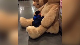 Teddy Bear Takes Revenge