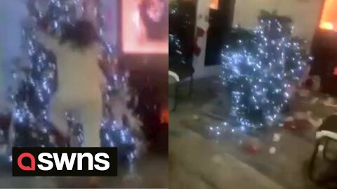 Woman launches herself into her Christmas tree while dancing to Footloose