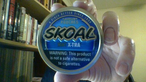 The Skoal Mint X~tra Review
