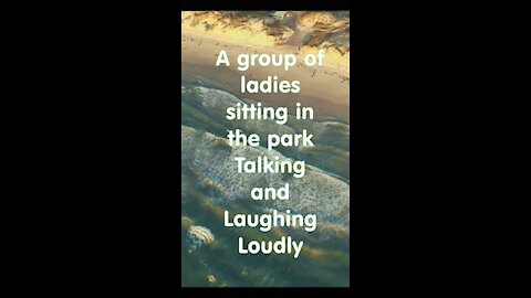 A group of ladies sits in the park and laughs