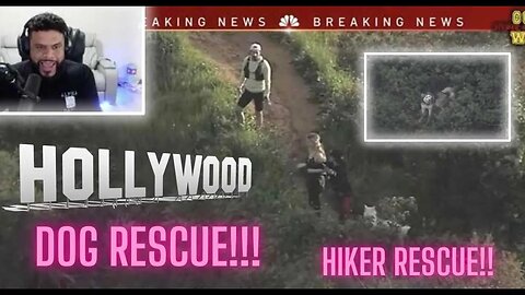 Breaking News DOG RESCUE! Hiker Rescue In The Hollywood Hills, BOTH NEED HELP