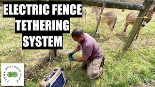 Electric Fence Tethering System