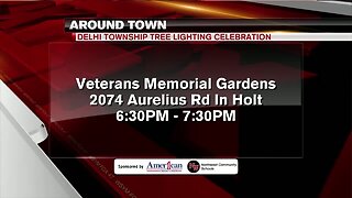 Around Town - Delhi Township Tree Lighting Celebration