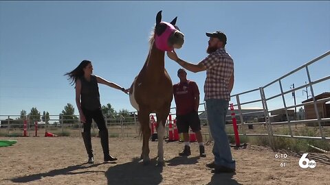 Finding Hope: Kuna-based Hearts to Horses offers equine-assisted psychotherapy for mental health treatment