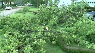 Preliminary survey of damage in Lake Geneva consistent with EF-0 tornado, NWS says
