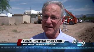Tucson animal hospital begins work on expansion