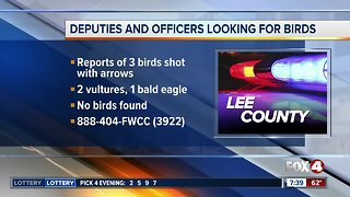 FWC investigating reports of birds shot with arrows in Lee County